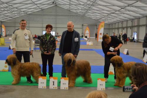 Wito Winter TrioCACIB Prague Dog Expo 2023