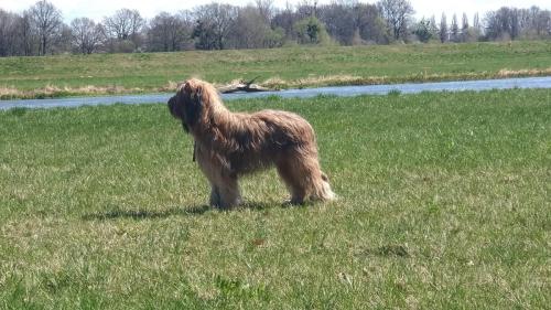 P_20220417_131108_vHDR_Auto